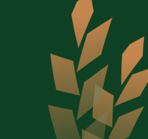 Online Course “Famine as Genocide: “The Holodomor in Ukraine”